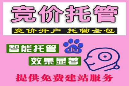 揭秘SEM竞价推广的五大成功策略及其实施细节